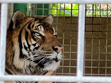 しろとり動物園に投稿された画像（2023/6/26）