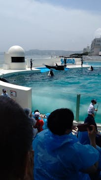 鴨川シーワールドに投稿された画像（2023/6/26）