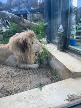 沖縄こどもの国に投稿された画像（2023/6/26）