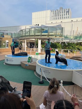 サンシャイン水族館に投稿された画像（2023/6/26）