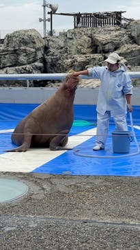 大分マリーンパレス水族館 「うみたまご」に投稿された画像（2023/6/26）