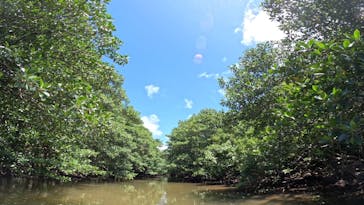 西表島 ADVENTURE PiPi（アドベンチャーピピ）に投稿された画像（2023/6/26）