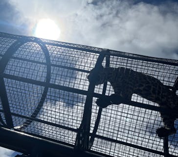 沖縄こどもの国に投稿された画像（2023/6/26）