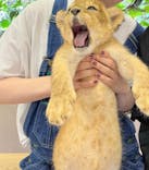 しろとり動物園に投稿された画像（2023/6/26）