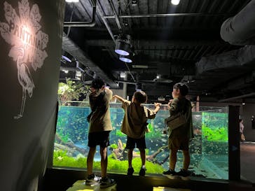 カワスイ 川崎⽔族館に投稿された画像（2023/6/26）