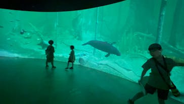 カワスイ 川崎⽔族館に投稿された画像（2023/6/26）