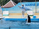 下田海中水族館に投稿された画像（2023/6/26）