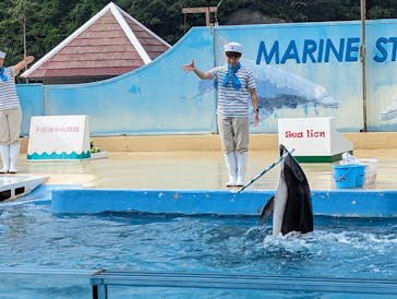 下田海中水族館に投稿された画像（2023/6/26）