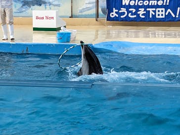 下田海中水族館に投稿された画像（2023/6/26）