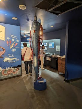 下田海中水族館に投稿された画像（2023/6/26）