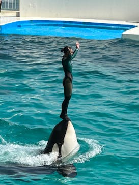 鴨川シーワールドに投稿された画像（2023/6/27）