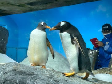 鴨川シーワールドに投稿された画像（2023/6/27）