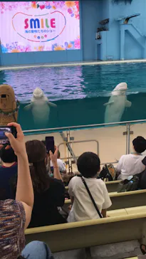 横浜・八景島シーパラダイスに投稿された画像（2023/6/27）