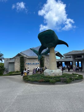 沖縄美ら海水族館に投稿された画像（2023/6/27）
