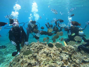 沖縄マリンサービス碧に投稿された画像（2023/6/27）