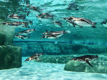 天王寺動物園に投稿された画像（2023/6/17）