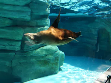 天王寺動物園に投稿された画像（2023/6/17）