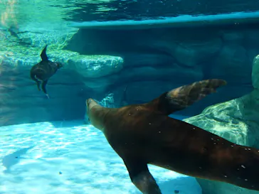 天王寺動物園に投稿された画像（2023/6/17）