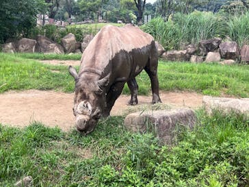 よこはま動物園ズーラシアに投稿された画像（2023/6/27）