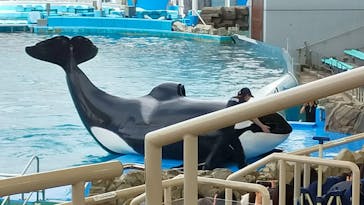 名古屋港水族館に投稿された画像（2023/6/27）