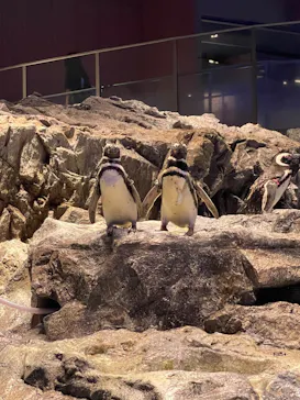 すみだ水族館に投稿された画像（2023/6/27）