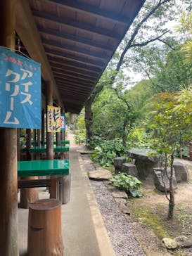 三溪園に投稿された画像（2023/6/27）