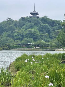 三溪園に投稿された画像（2023/6/27）