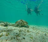 オースリーシュノーケル宮古島に投稿された画像（2023/6/27）