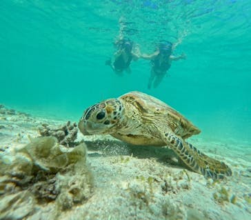 オースリーシュノーケル宮古島に投稿された画像（2023/6/27）