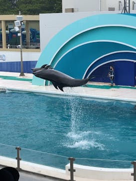 鴨川シーワールドに投稿された画像（2023/6/27）