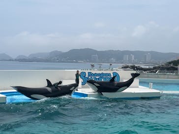 鴨川シーワールドに投稿された画像（2023/6/27）
