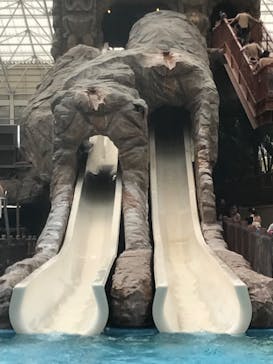 東京サマーランドに投稿された画像（2023/6/27）