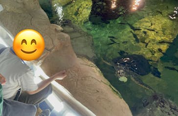 九十九島水族館海きららに投稿された画像（2023/6/27）