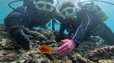 青の洞窟専門店　沖縄ダイビングショップ和に投稿された画像（2023/6/27）