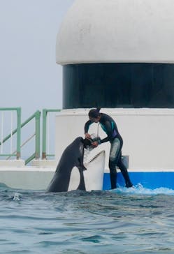 鴨川シーワールドに投稿された画像（2023/6/28）