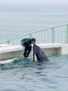 鴨川シーワールドに投稿された画像（2023/6/28）