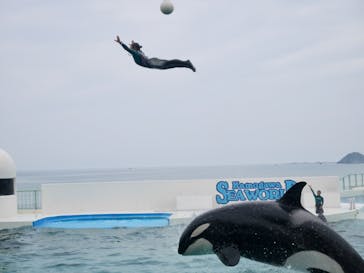 鴨川シーワールドに投稿された画像（2023/6/28）