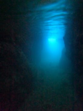 青の洞窟専門店　沖縄ダイビングショップ和に投稿された画像（2023/6/28）