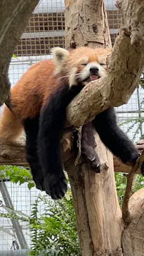 神戸どうぶつ王国に投稿された画像（2023/6/28）