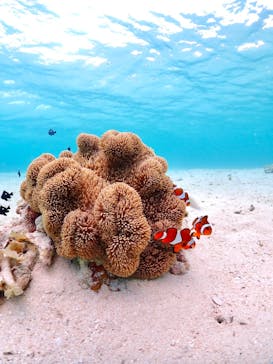 ちゃこたびに投稿された画像（2023/6/28）