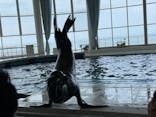 アクアワールド茨城県大洗水族館に投稿された画像（2023/6/28）
