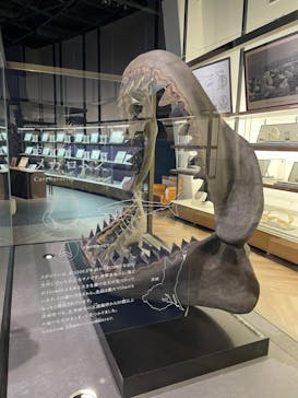 アクアワールド茨城県大洗水族館に投稿された画像（2023/6/28）