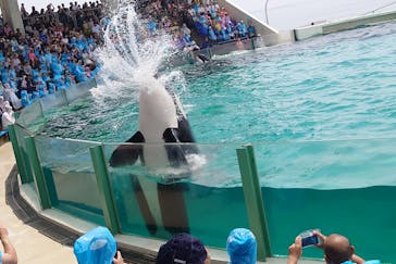 鴨川シーワールドに投稿された画像（2023/6/28）