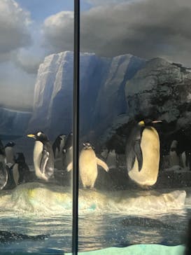 名古屋港水族館に投稿された画像（2023/6/28）