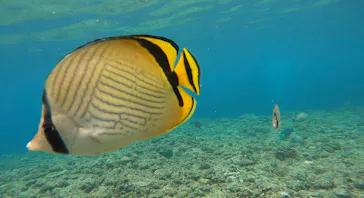 武藤潜水に投稿された画像（2023/6/28）