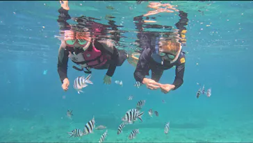 武藤潜水に投稿された画像（2023/6/28）