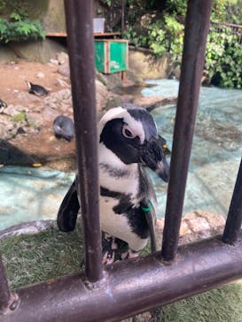 伊豆シャボテン動物公園に投稿された画像（2023/6/28）