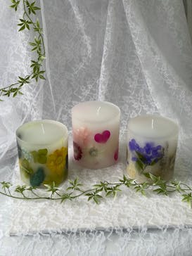 ずこうしつ〜sugamo〜に投稿された画像（2023/6/28）