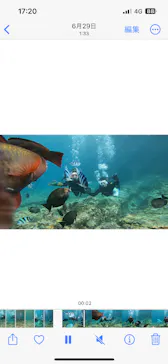 武藤潜水に投稿された画像（2023/6/28）