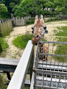 到津の森公園に投稿された画像（2023/6/28）